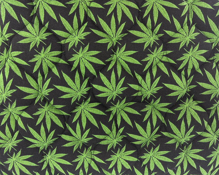 The Plant