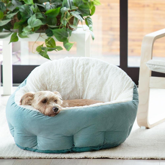 Deep Dish Ilan Cuddler - Standard