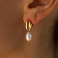 A close-up image of a person wearing a gold puka shell earring with a freshwater pearl drop.