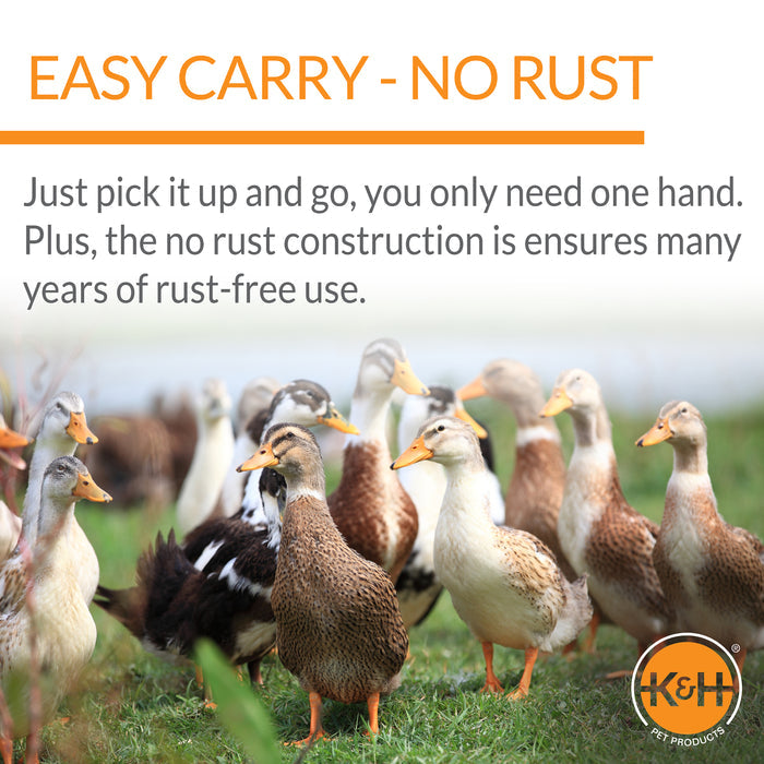 K&H Duck Waterer