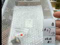 KIKICRYSTAL Shop Claim Sale For 0828