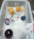 #1 contains Fluorite sphere