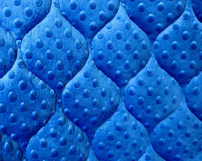 Blue Minky Dot
