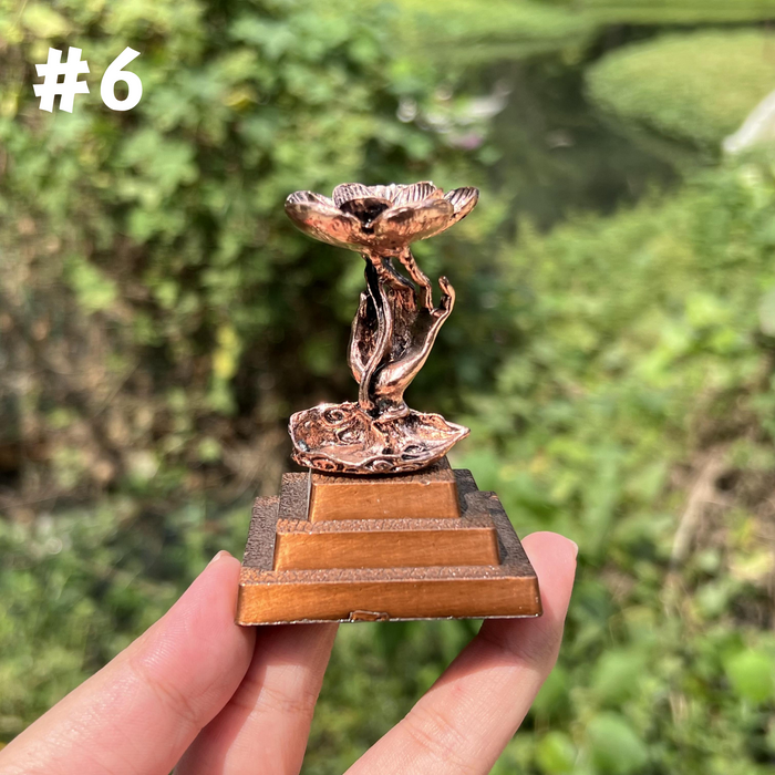 #6