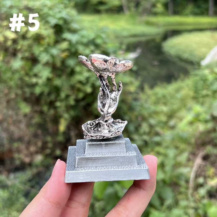 #5