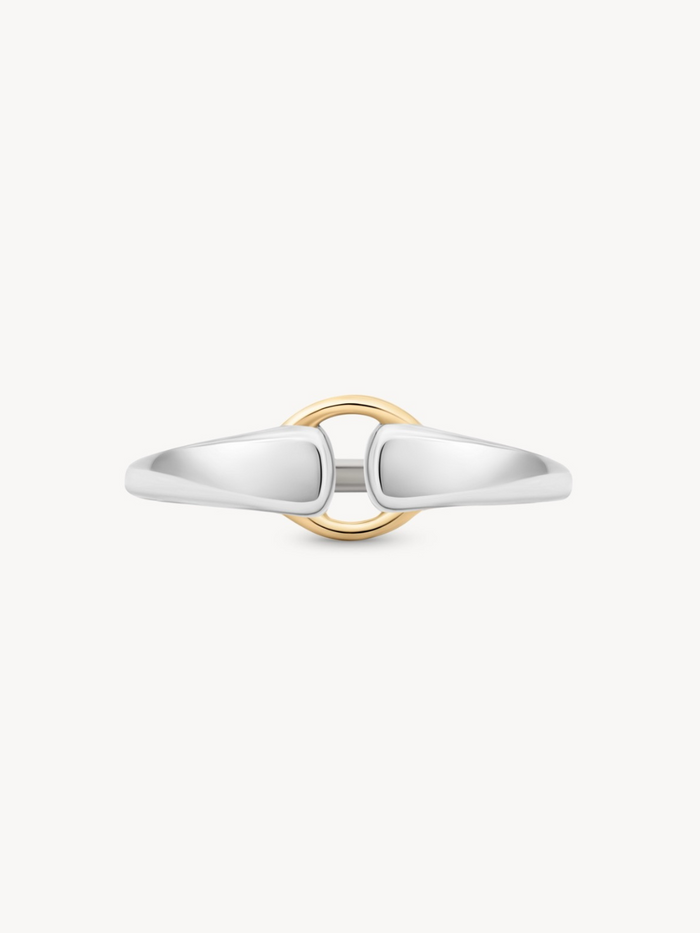 Mixed Metal Buckle Ring