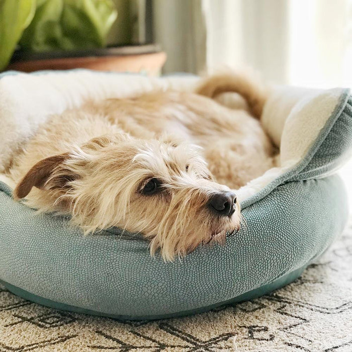 Pet Throne Ilan Cuddler - Mini