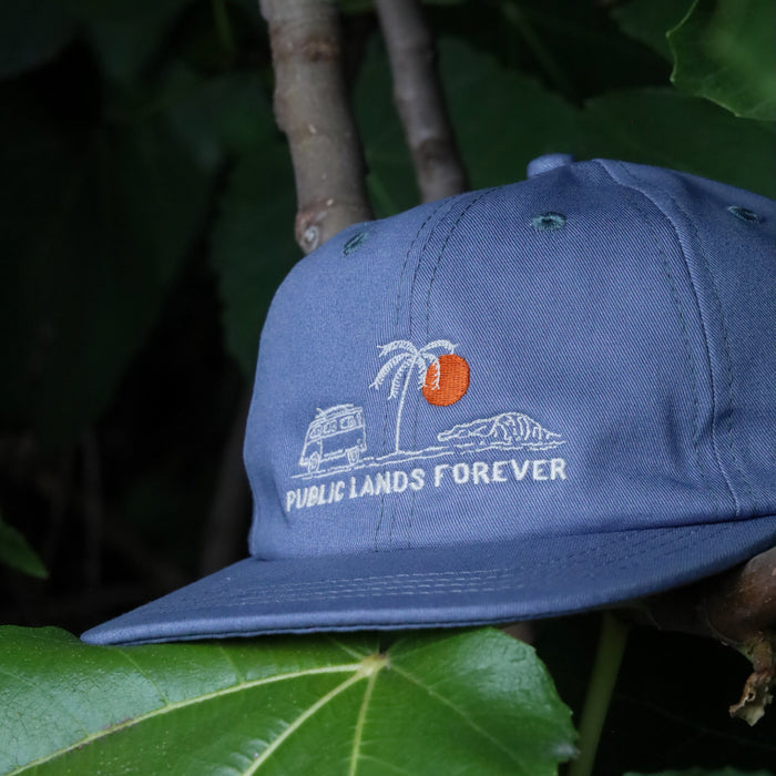 Public Lands Forever 100% Organic Cotton Dad Hat | Cool River