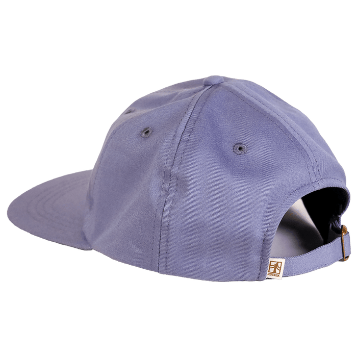 Public Lands Forever 100% Organic Cotton Dad Hat | Cool River