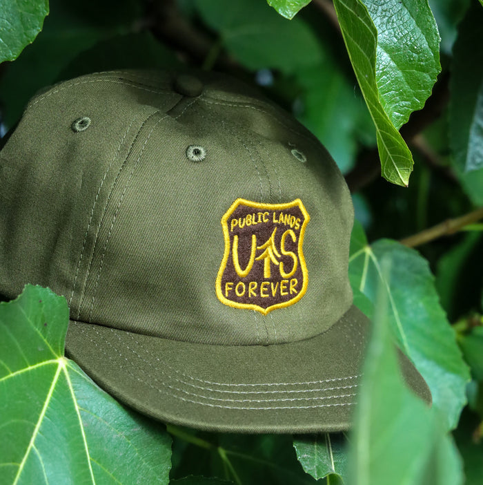 Public Lands Forever 100% Organic Cotton Dad Hat | Olive