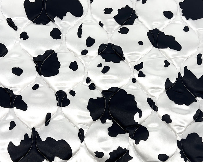 Black and White Cow