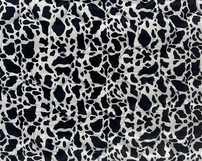 Dalmatian