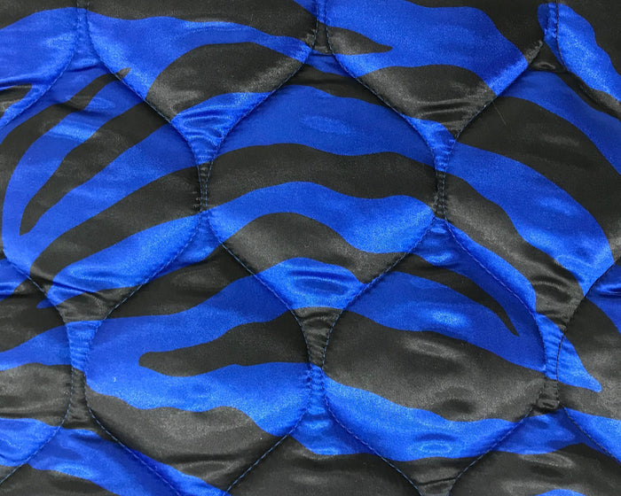 Royal Blue Zebra